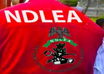 Opinion: Housing/Recreational Motivation for NDLEA – By Emmanuel Onwubiko 