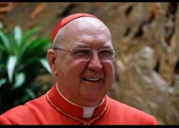 Cardinal Farrell to Oversee Vatican Affairs