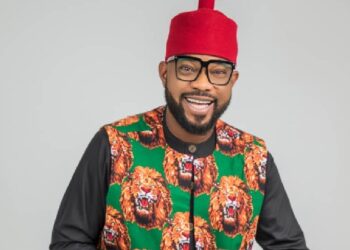 Opinion: How One Lawmaker is Raising the legislative Bar in Nigeria – By Emmanuel Onwubiko