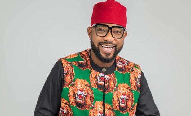 Opinion: How One Lawmaker is Raising the legislative Bar in Nigeria – By Emmanuel Onwubiko