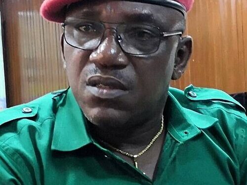 Nigerian patriots to Tinubu: Bring perpetrators of Benue, Plateau killings to Justice