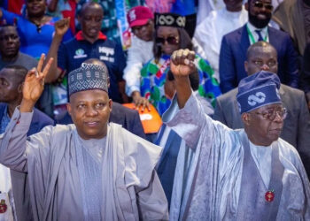 The 2027 Gamble: Tinubu, Shettima Rift….Special Adviser Resigns