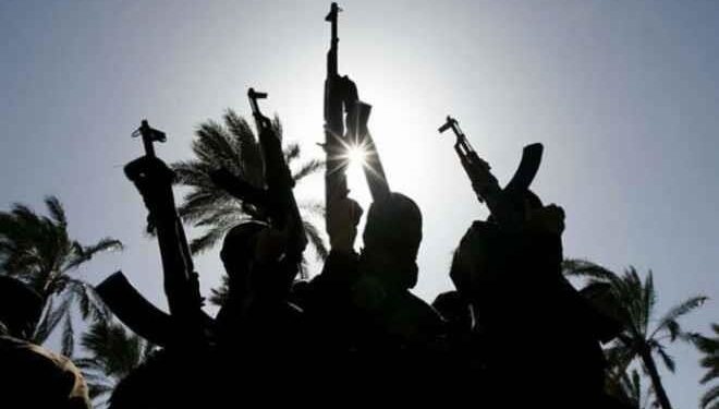 Terrorists Kill Customs Officers in Kebbi