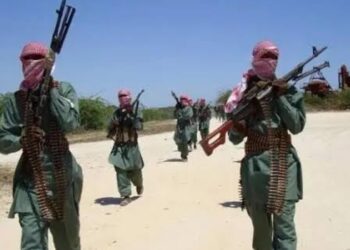 Deadly New Terror Group Hits North-Central Nigeria