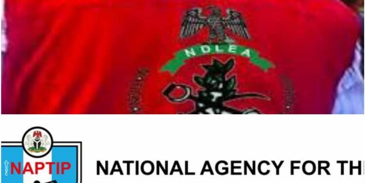 NDLEA, NAPTIP Set Up Teams to Strengthen Collaboration Against Drug, Human Trafficking