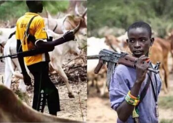 Benue Bloodshed: 23 Die in Suspected Herdsmen Onslaught