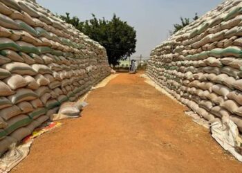 Delta begins sale of subsidized  FG rice to workers