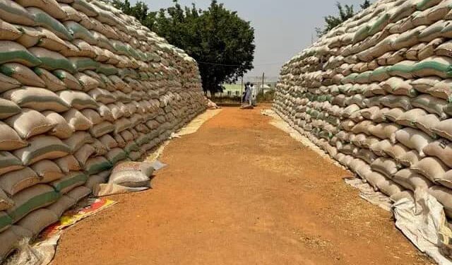 Delta begins sale of subsidized FG rice to workers