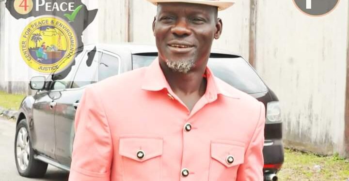 2027: Stop distracting Tinubu with mischievous endorsement — Mulade