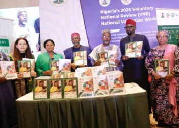 SDGs; Validating Nigeria Beyond 2020-2030,