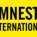 OPINION: Amnesty’s Nigeria Report: Fictional Fatalities, Factual Failures – Analyst Says