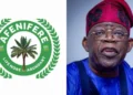 Afenifere Warns Against Profiling Tinubu Govt Along Ethnic Lines