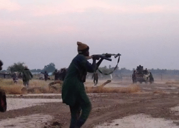 ISWAP Kills 23 Farmers, Abducts 18 in Borno Attack