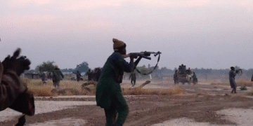 ISWAP Kills 23 Farmers, Abducts 18 in Borno Attack