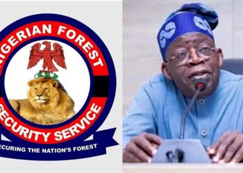 The Establishment of Forest Guards A Welcome Development – By Adakole Elijah