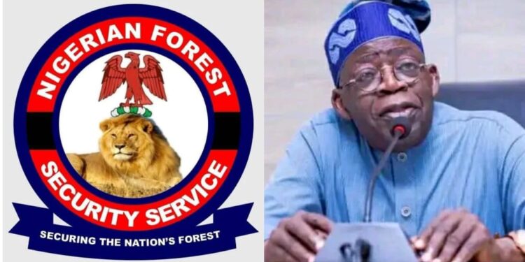 The Establishment of Forest Guards A Welcome Development – By Adakole Elijah