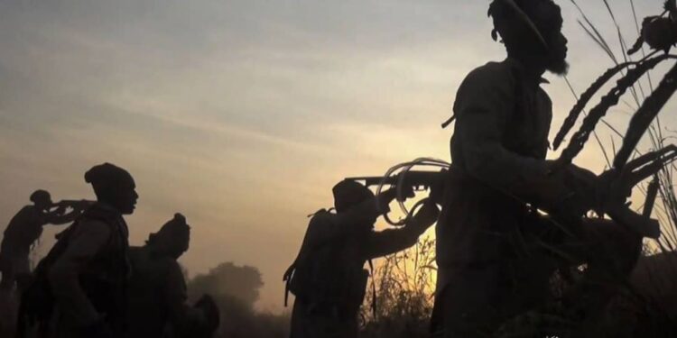 Gunmen Kill 10, Rustle Animals In Fresh Bauchi Attack