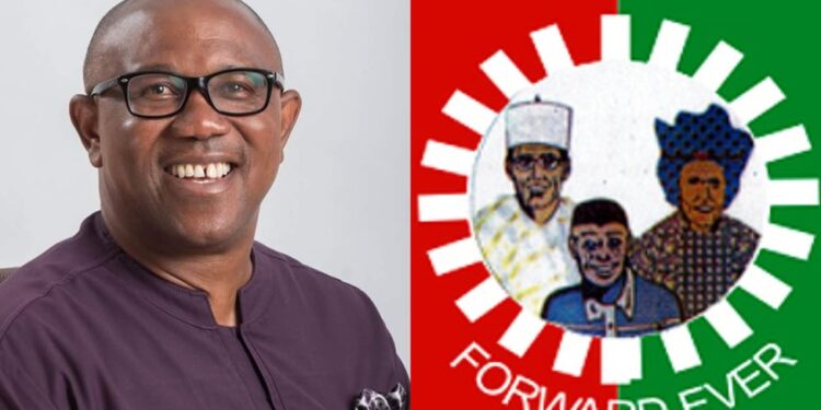 I may defect to SDP if it Admits Obi- LP Chieftain, Onyema
