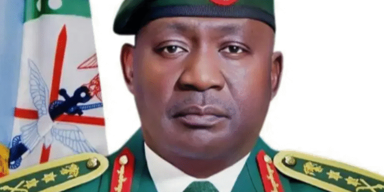 Endless Killings: Let’s Fence Our Borders to Secure Nigeria — CDS