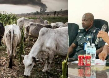 Delta Council Gives Herders 30 Days to End Open Grazing