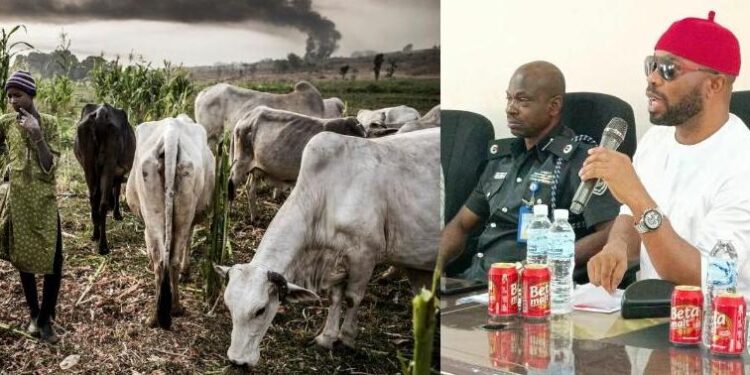 Delta Council Gives Herders 30 Days to End Open Grazing