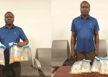 Iran-bound businessman arrested at PH airport for ingesting 53 wraps of cocaine . As NDLEA recovers tramadol consignments in winter jackets going to Europe at Lagos airport; intercepts N1.1billion opioids in Rivers; 2,687kg skunk in Cross River