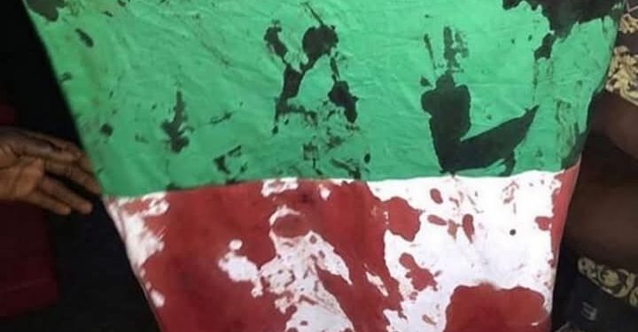 Benue’s Yelwata 200 Killings: A Nation of Stained Flag Amidst 2027 Election.