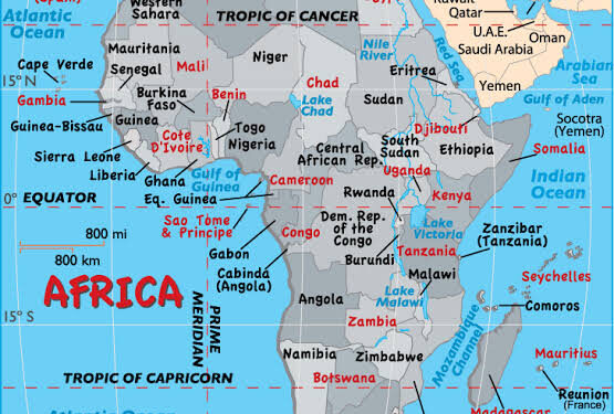 The Lucky Idiot: Anatomy of a Glamourized Fool in Power  *The Tragedy of a Nation That Claps for Its Own Collapse