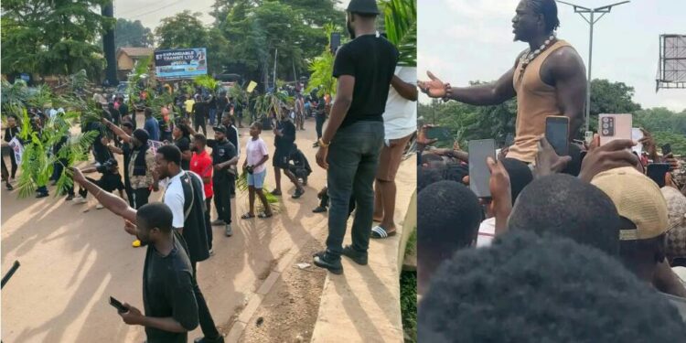 VeryDarkMan, Benue Youths Defy Gov Alia’s Ban, Stage Massive Protest, Demand End to Killings