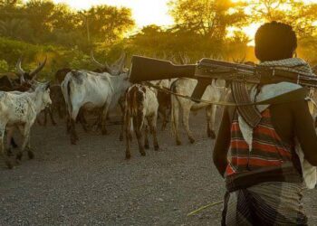 Three Killed, One Missing in Armed Attack by Suspected Herdsmen in Enugu
