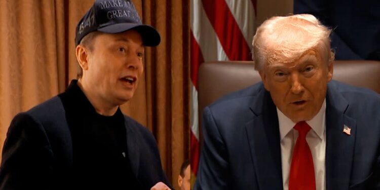 I regret criticising Trump – Elon Musk