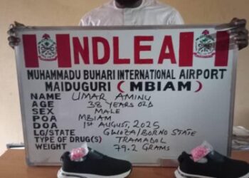 NDLEA WEEKLY UPDATE  BY FEMI BABAFEMI  Cocaine, tramadol consignments in vehicle side mirrors intercepted at Lagos airport . As NDLEA arrests dispatch riders distributing illicit drugs in Abuja; nabs businesswoman behind cocaine in lipsticks; recovers opioids in footwears at Maiduguri airport