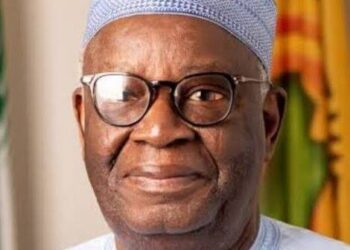 Buhari’s man Professor Gambari appointed AU member of Eminent Experts *panel to review governance, peace, and security frameworks.