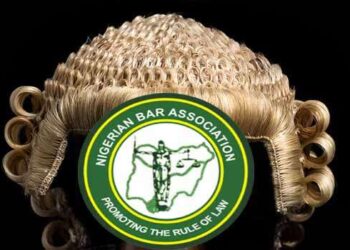 NBA Slams Niger Governor Over Shutdown of Badeggi FM