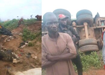Tragic Crash Leaves 22 Dead, 20 Injured as Trailer Overturns En-route Lagos