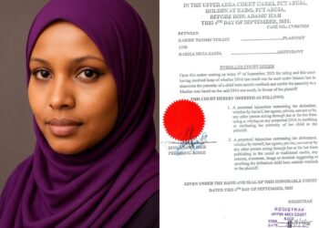 Court perpetually restrains Hadiza Baffa from claiming ex-Minister fathered her child, dismisses DNA test …as Turaki debunks rape allegations, reels out Baffa’s history of fraud, falsehoods