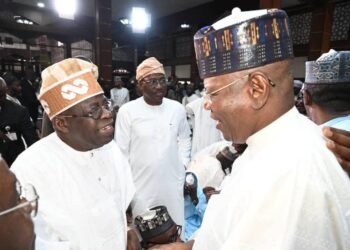 Kaduna: For President Tinubu, A Resounding Political Validation –