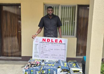 Drug Parties Are Illegal, NDLEA Warns Club Owners, Fun Seekers  …Agency details Lagos night club raid, seizes 384.886kg of ‘Loud’ and other substances