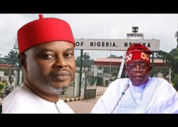 ADC: We are Not Surprised that Tinubu has Kept an Alleged Certificate Forger in His Cabinet