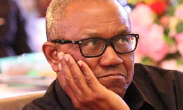 APC Wins at Peter Obi’s Polling Unit