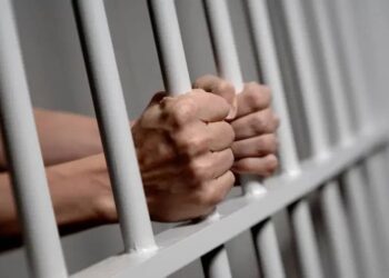 UNICAL LAW PROF GOES TO JAIL FOR SEXUAL HARASSMENT 