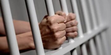 UNICAL LAW PROF GOES TO JAIL FOR SEXUAL HARASSMENT 