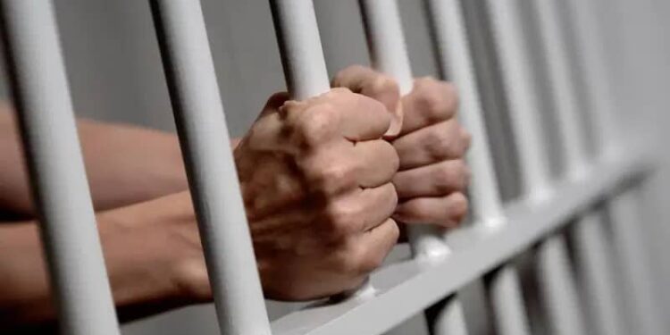 UNICAL LAW PROF GOES TO JAIL FOR SEXUAL HARASSMENT 