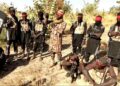 200 Dead in Boko Haram, ISWAP Clash in Northeast Nigeria
