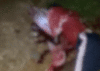 Robbers Attack Bauchi State Poly, Kill One Student