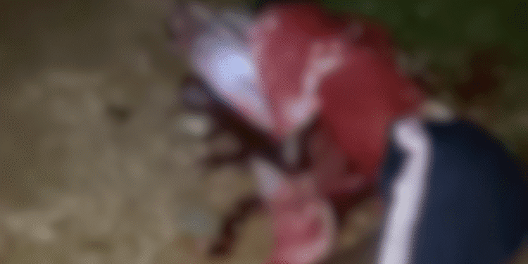 Robbers Attack Bauchi State Poly, Kill One Student